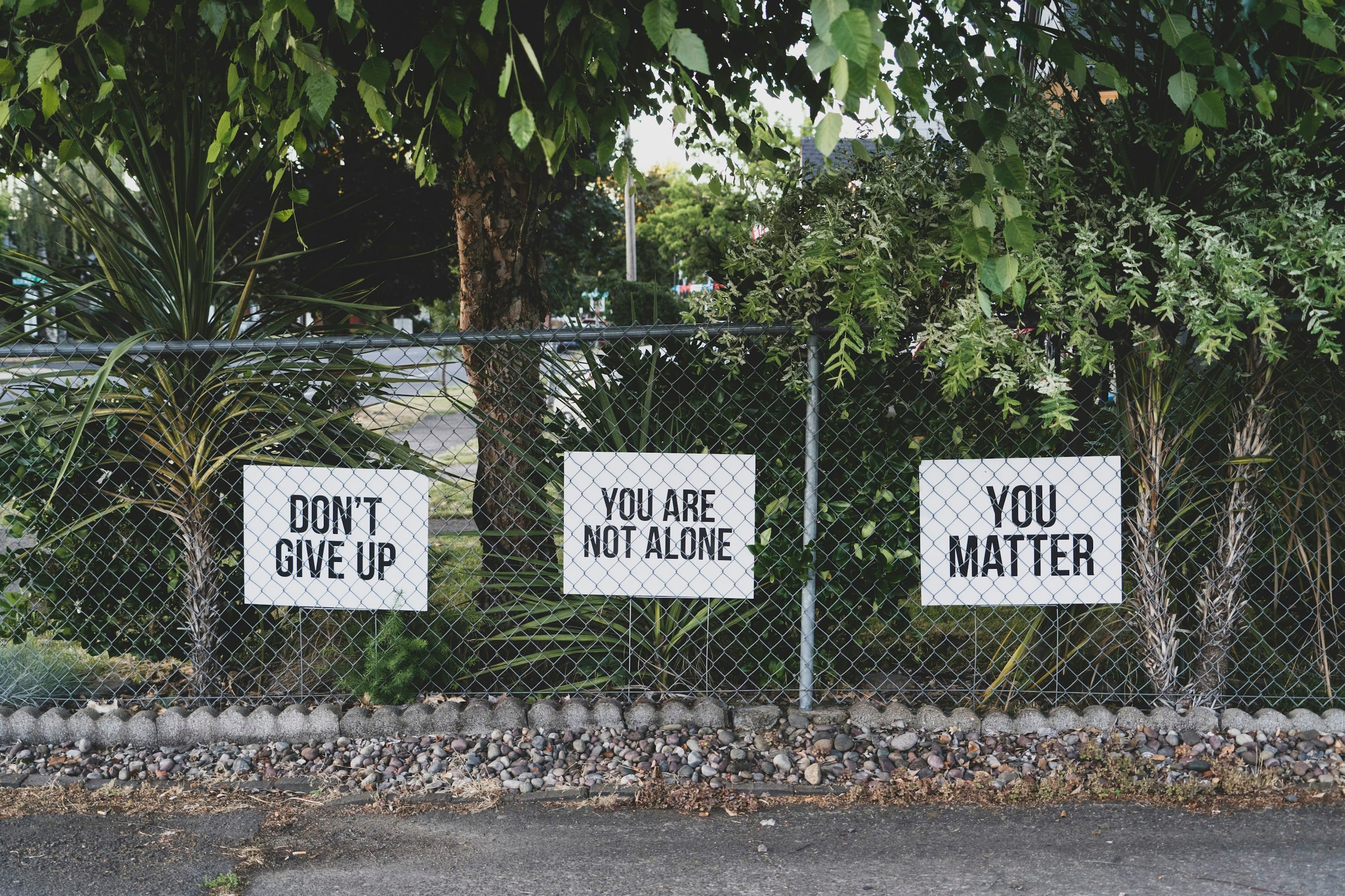 Understanding Modern Mental Health Challenges: A Global Crisis Demanding Innovation